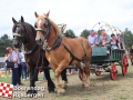 20190803boerendagrijsbergen186