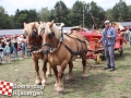 20190803boerendagrijsbergen188