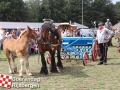 20190803boerendagrijsbergen194