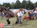 20190803boerendagrijsbergen197