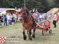 20190803boerendagrijsbergen198