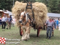 20190803boerendagrijsbergen200