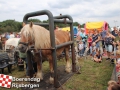 20190803boerendagrijsbergen275